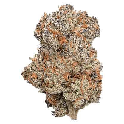 Coterie 3.5 g Whole Flower