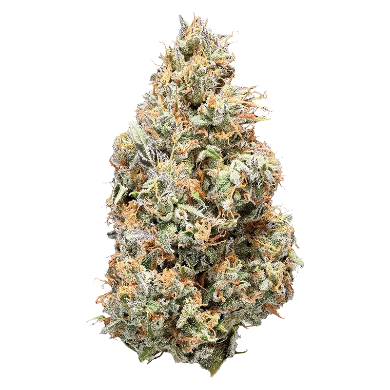 NugZ 14 g NugZ Sativa 50 - Buy NugZ Sativa at Canna Cabana Online Whole Flower
