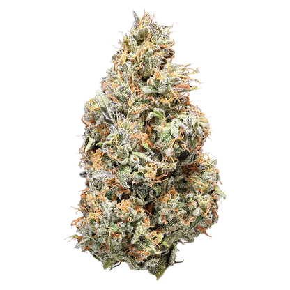 NugZ 14 g NugZ Sativa 50 - Buy NugZ Sativa at Canna Cabana Online Whole Flower