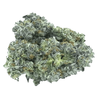 Orchard 7 g Whole Flower