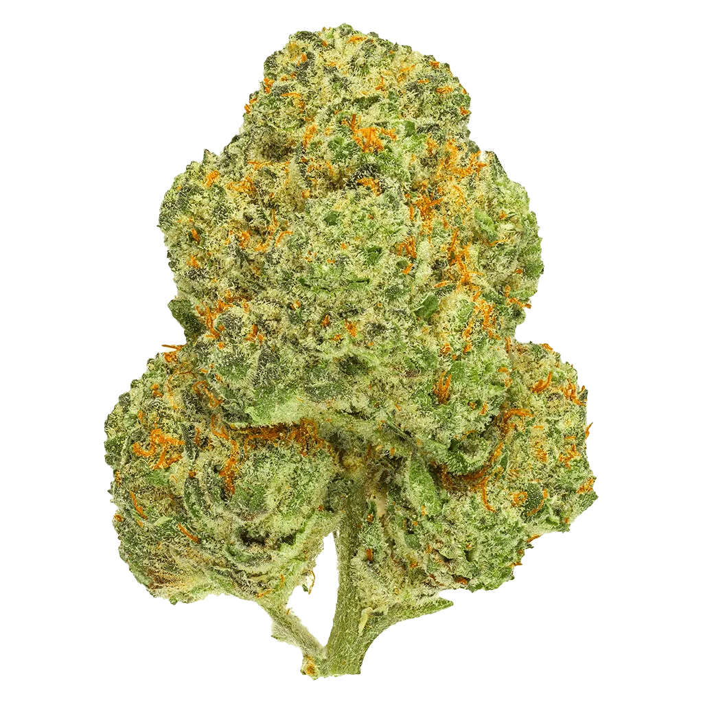 Thumbs Up 7 g Thumbs Up Frosted Fruit Cake x Sunset Sherb | Canna Cabana Whole Flower