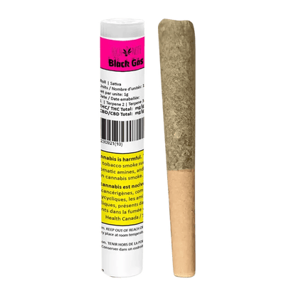 High Note Each Pre Rolls