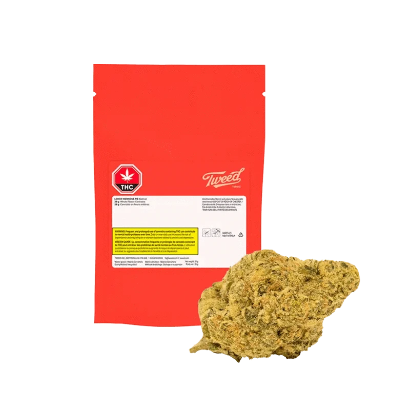 A close-up, top-down view of the Lemon Meringue Pie, showcasing its textured, golden-brown surface.