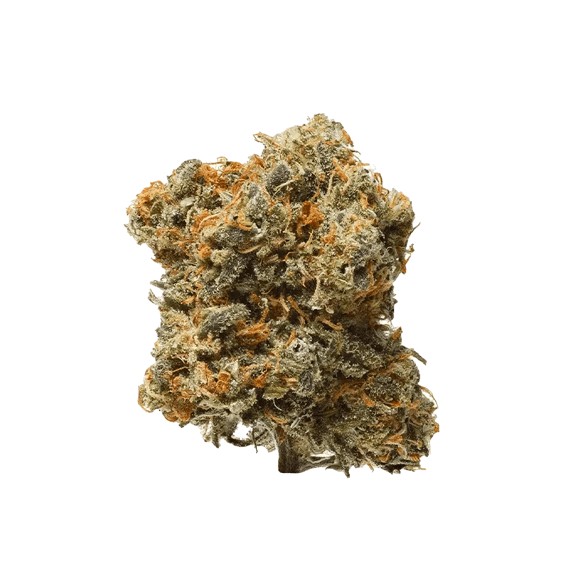 1964 Blue Dream - Exclusive Deals at Canna Cabana: Lowest Price | Canna Cabana 1964 Blue Dream - Exclusive Deals at Canna Cabana: Lowest Price | Canna Cabana
