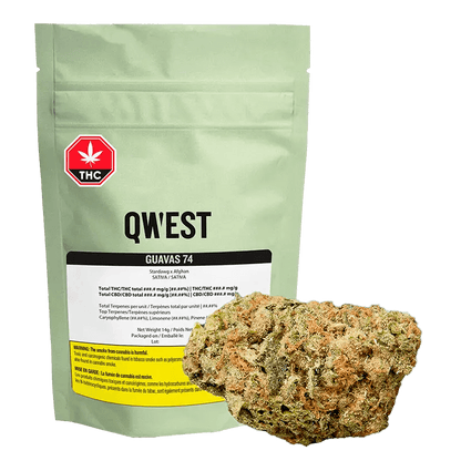 Qwest 14 g Whole Flower