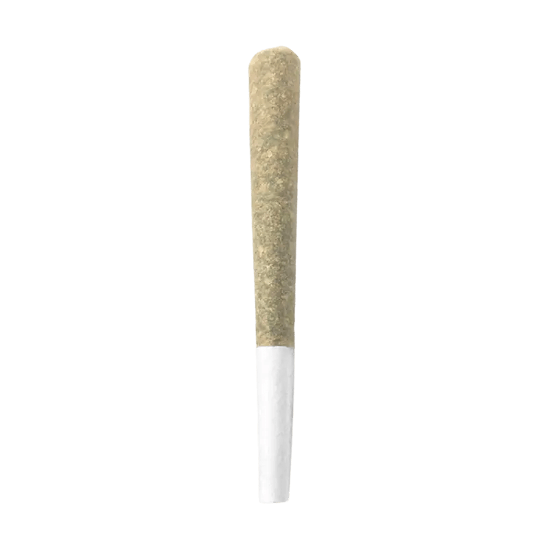 Bullrider Each Pre Roll