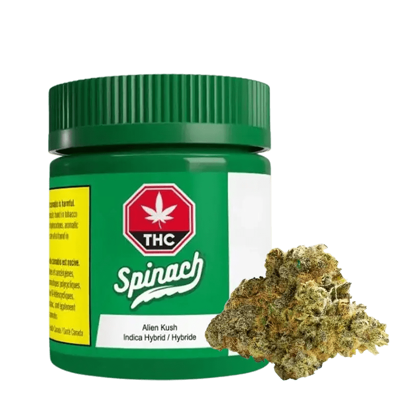 Spinach 3.5 g Whole Flower