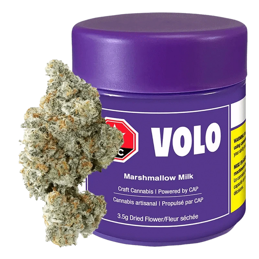 Front view of the Marshmallow Milk product, showcasing its packaging with bold lettering and a modern, minimalist design.