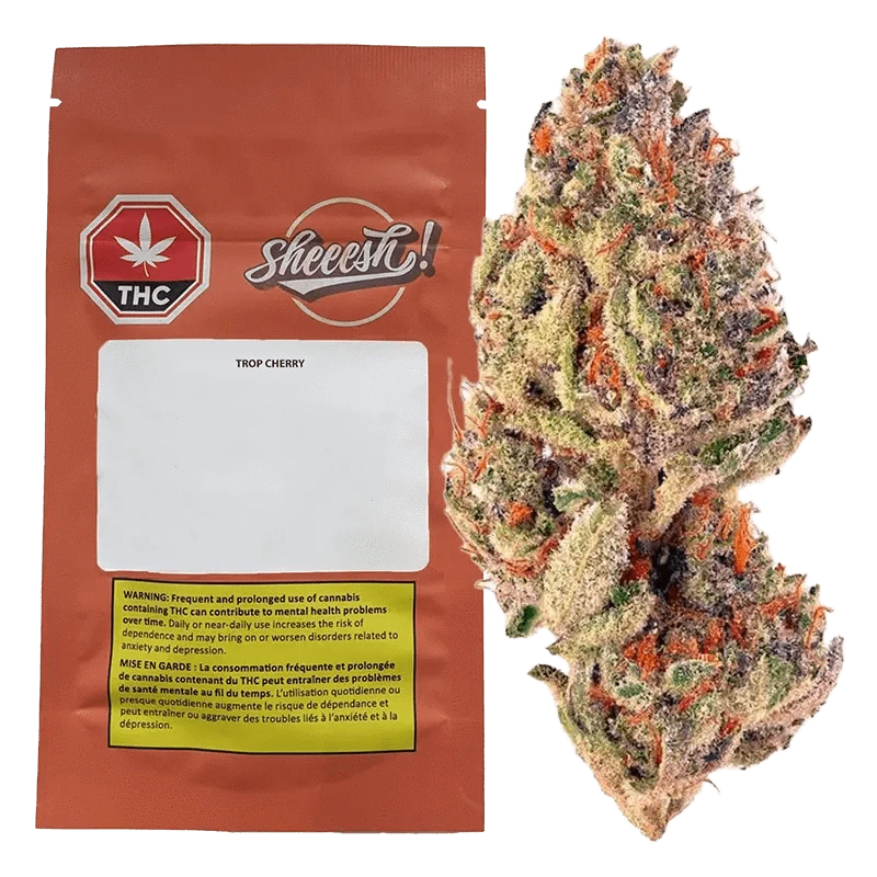 Front view of the Trop Cherry package displaying a warning message against prolonged cannabis use on a white background.