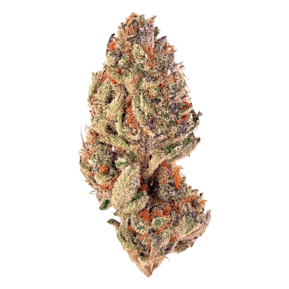 Close-up of the Trop Cherry, showing a brightly lit, textured surface with a focus on detail and depth.