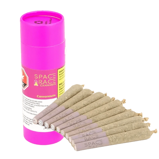 Front view of the Cannanauts Pre Rolled 10 x 0.4 g pre-rolls in packaging, displaying branding and information labels on a white background.