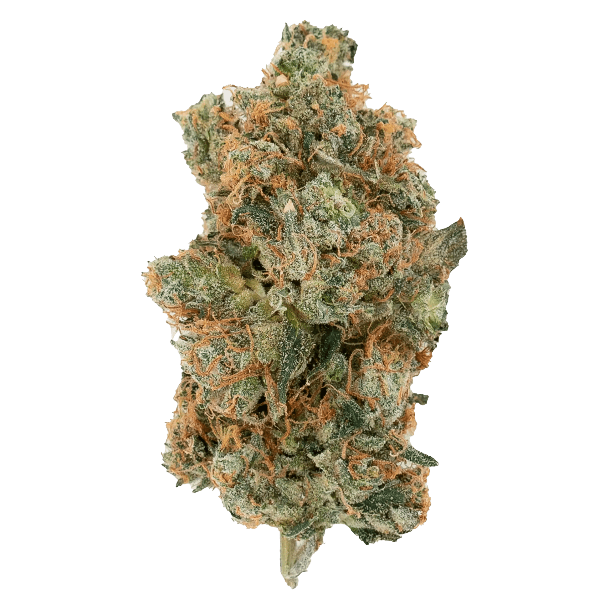 Muskoka Grown 28 g Onion Ringz Whole Flower