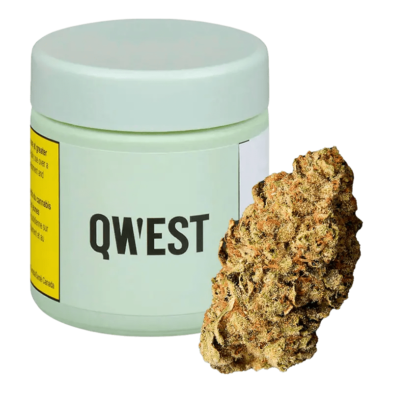 Qwest 3.5g Dried Flower