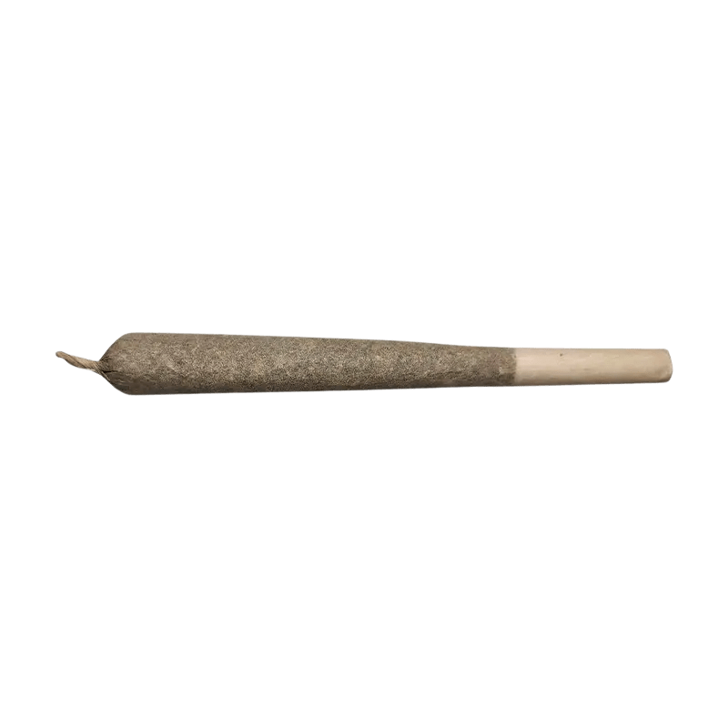 Real J 1x1g Pre Roll