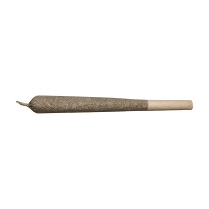 Real J 1x1g Pre Roll