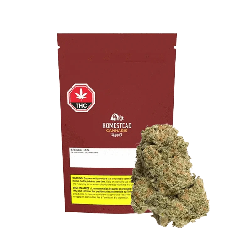 Front view of the Bandwagon Rotational packaging with text in white and red on a dark background.