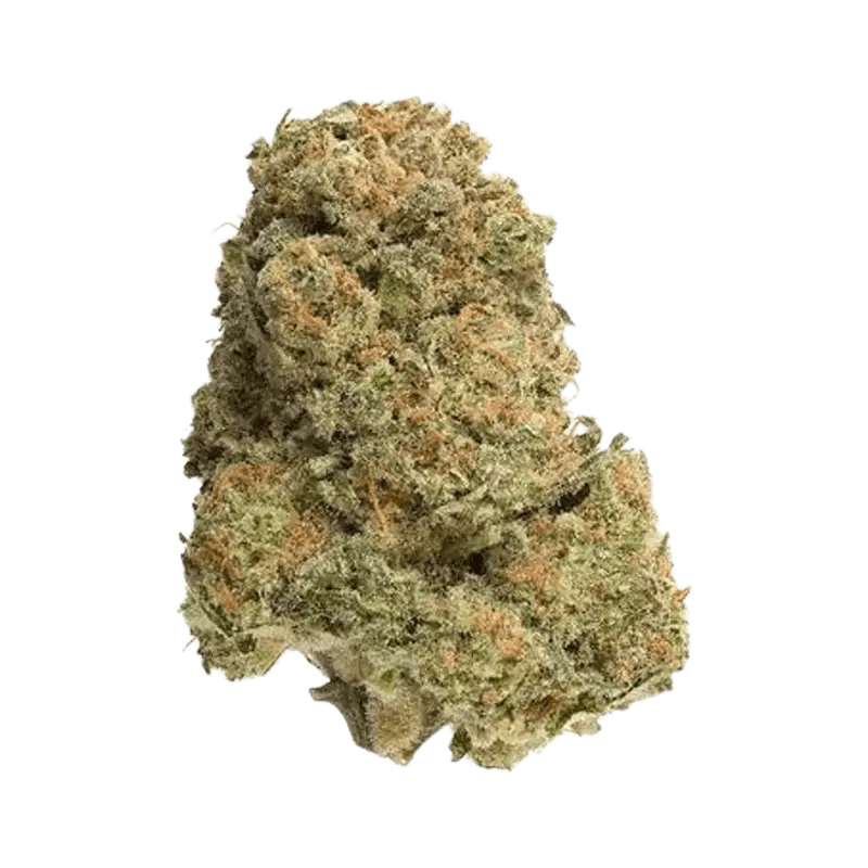 A top-down view of the Bandwagon Rotational, showing its rounded shape and reflective surface on a neutral background.