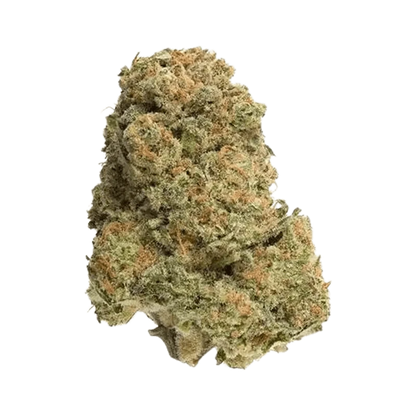 A top-down view of the Bandwagon Rotational, showing its rounded shape and reflective surface on a neutral background.