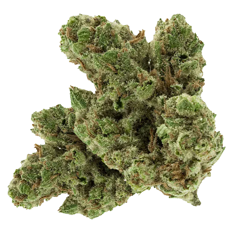 Close-up top view of a frosty green bud of Black Mountain Side against a white background, showing dense trichomes and amber pistils.