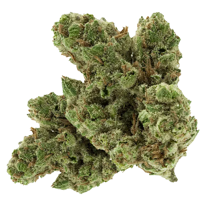 Close-up top view of a frosty green bud of Black Mountain Side against a white background, showing dense trichomes and amber pistils.