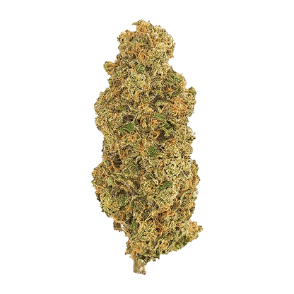 Victoria Cannabis Company 28 g Whole Flower