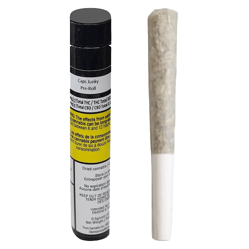 elfbar nachfüll pod läuft aus Vape shop main image 1