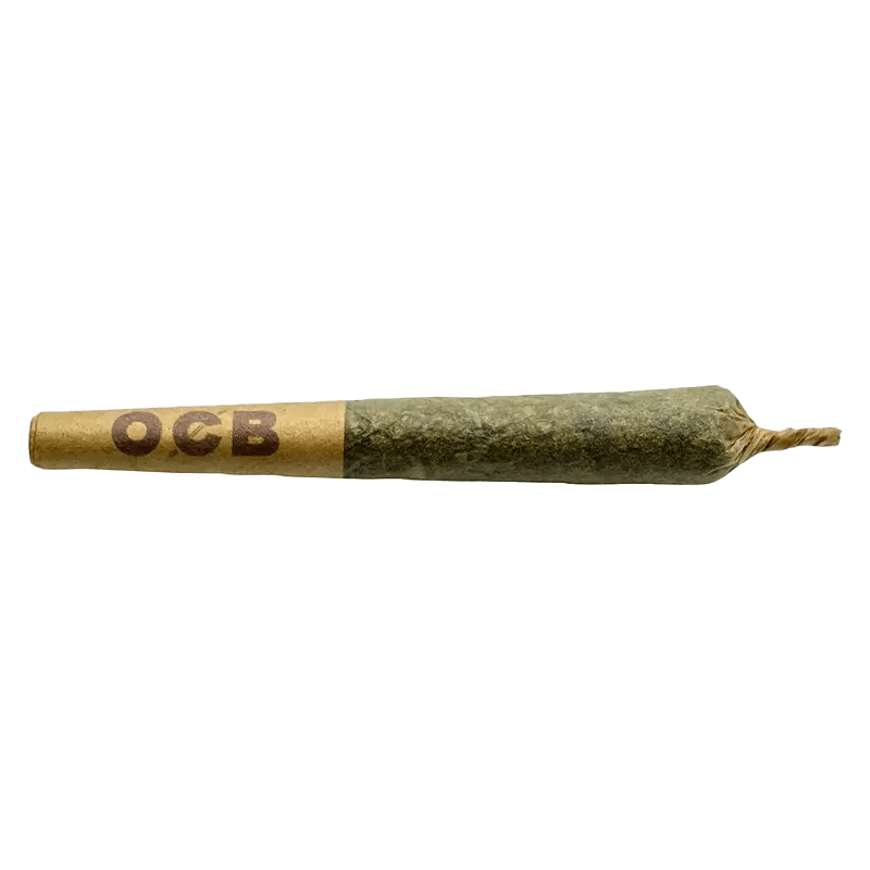 Coterie 1.5 g Pre Roll