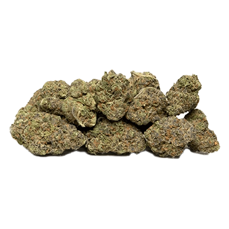 Close-up of the Supernova, showcasing its textured surface and shadowed, spherical form against a plain white backdrop.