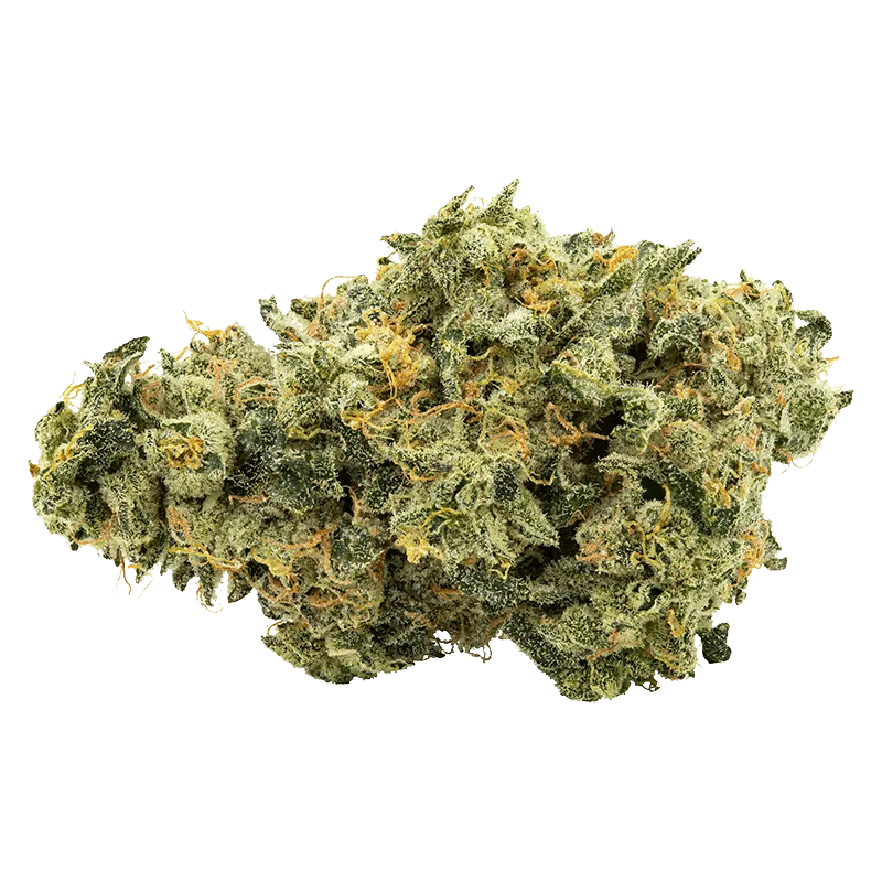 Trailblazer 7 g Whole Flower