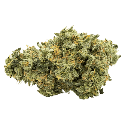 Trailblazer 7 g Whole Flower