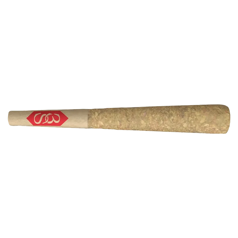 Close-up of the Road Dawg Pre Rolled 1 x 0.5 g pre-roll, showing a white filter tip against a plain background.