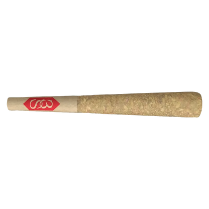 Close-up of the Road Dawg Pre Rolled 1 x 0.5 g pre-roll, showing a white filter tip against a plain background.