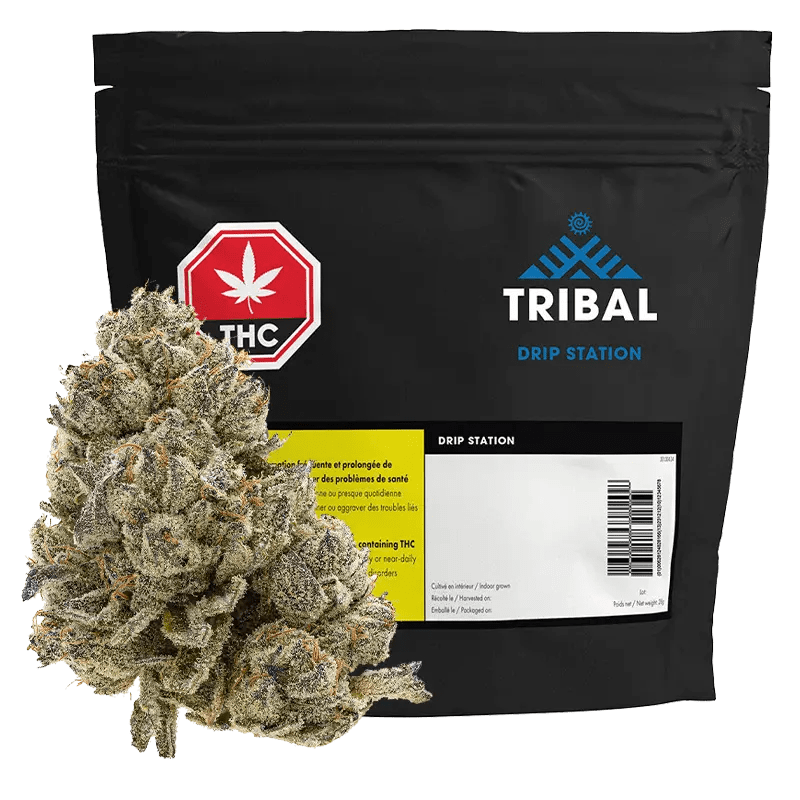 Tribal 28 g Whole Flower