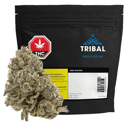 Tribal 28 g Whole Flower