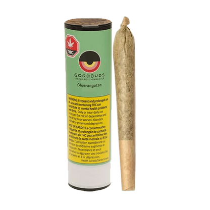 Front view of the Gluerangutan Pre Rolled 1 x 1 g package with a warning against long-term use.