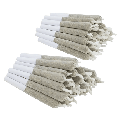 Shred 28 g Joints