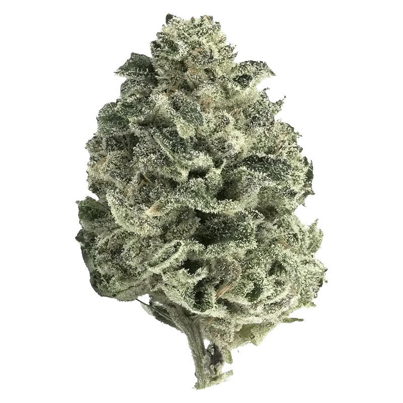 Tantalus 7 g Whole Flower