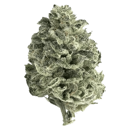 Tantalus 7 g Whole Flower