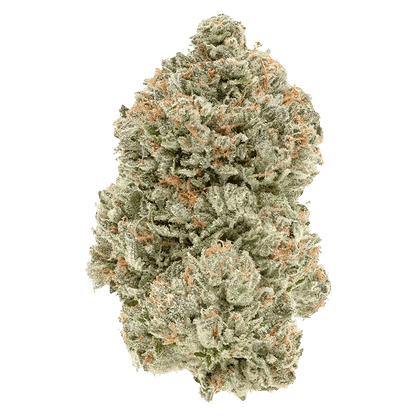 1964 7 g Whole Flower