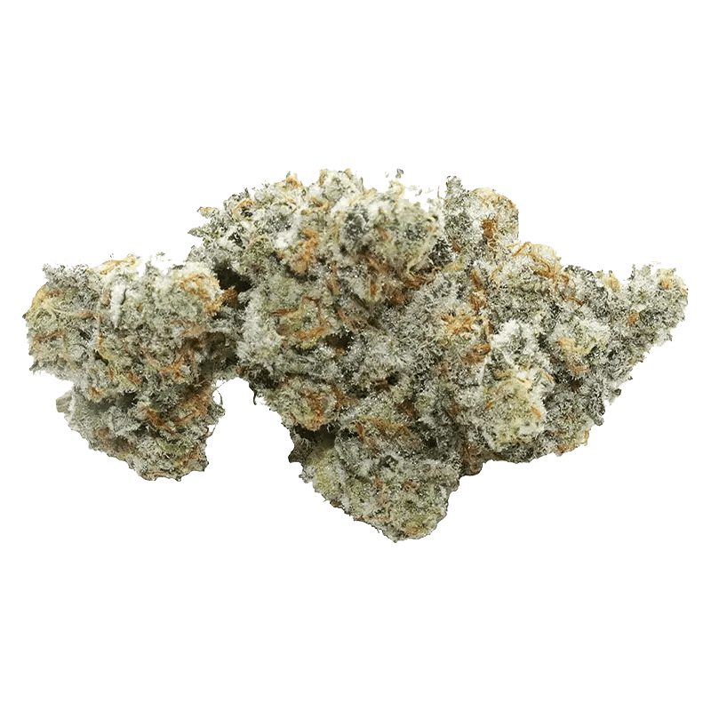 Volo 3.5 g Whole Flower