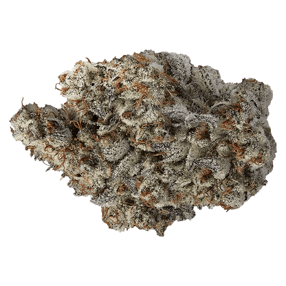 Volo 14 g Whole Flower