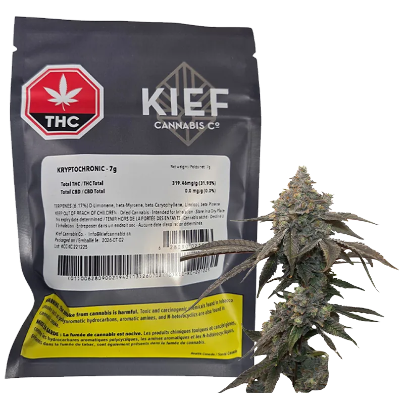 Kief Cannabis 7 g Kryptochronic Flower