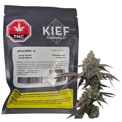 Kief Cannabis 7 g Kryptochronic Flower