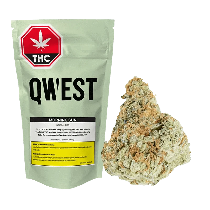 A close-up of the Qwest Morning Sun packaging displays bold lettering on a white label against a black background.