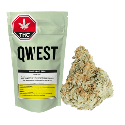 A close-up of the Qwest Morning Sun packaging displays bold lettering on a white label against a black background.