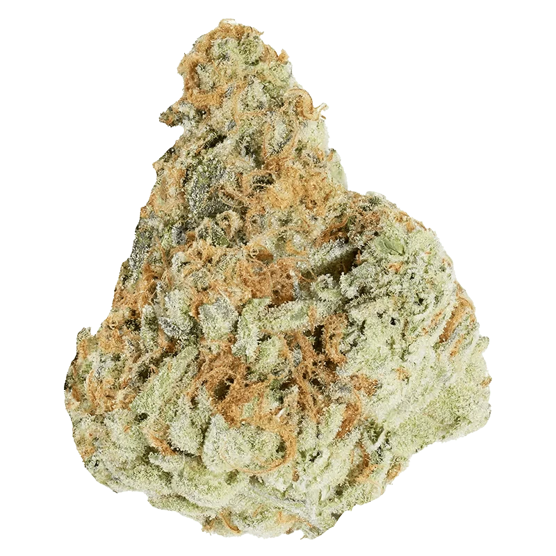 Close-up of the Morning Sun, showing a textured surface with a soft, golden hue and subtle shadowing.