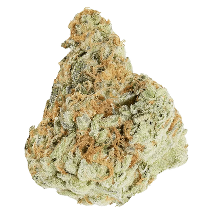 Close-up of the Morning Sun, showing a textured surface with a soft, golden hue and subtle shadowing.