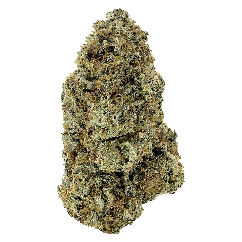 Woody Nelson 14 g Rotating Payload Whole Flower