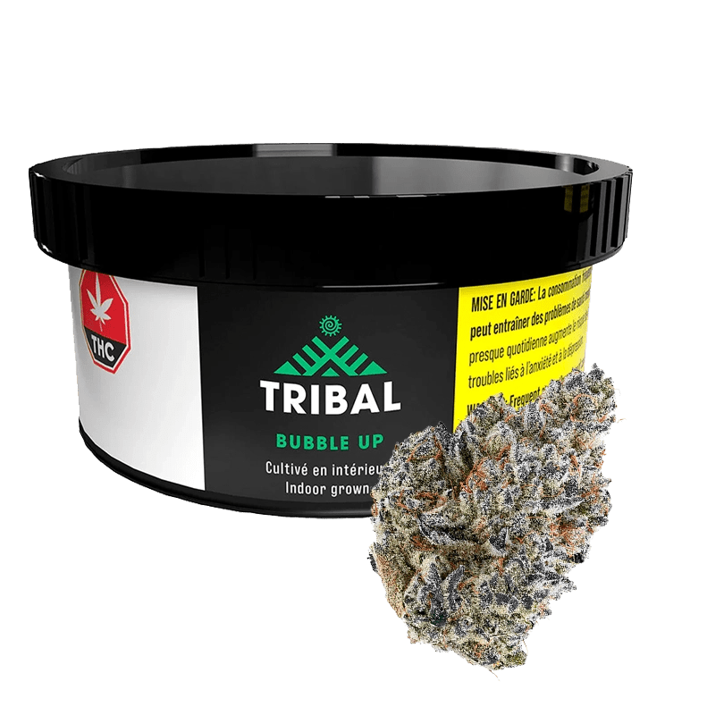 Tribal 3.5 g Bubble Up Whole Flower