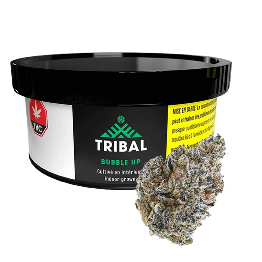 A close-up of the Tribal Bubble Up packaging, featuring bold text on a dark background.